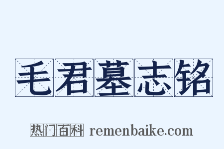 毛君墓志铭是什么意思的图片